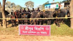 সিলেট ও সুনামগঞ্জে ৪৮ বিজিবির অভিযানে ১ কোটি ৩০ লাখ টাকার পণ্য আটক