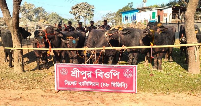 সিলেট ও সুনামগঞ্জে ৪৮ বিজিবির অভিযানে ১ কোটি ৩০ লাখ টাকার পণ্য আটক