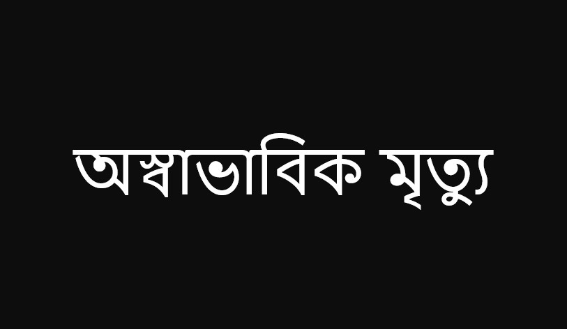 সিলেটের হরিপুরে মোটরসাইকেল দুর্ঘটনায় ‘নোহা’ গাড়ির এক চালক নিহত