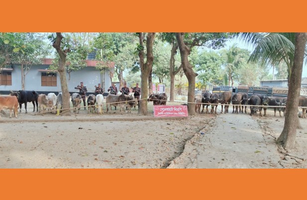 সিলেট-সুনামগঞ্জ সীমান্তে ১ কোটি পৌণে ২২ লাখ টাকার মালামাল আটক করেছে ৪৮ বিজিবি