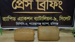 মাধবপুর বাজার এলাকা থেকে ৩৩ কেজি গাঁজা সহ ১ জনকে গ্রেফতার করেছে র‌্যাব