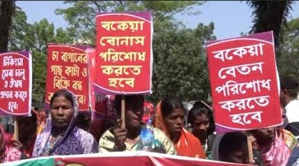 আড়াই হাজার চা শ্রমিকের ২০ সপ্তাহের মজুরি বকেয়া || রবিবার বিমানবন্দর সড়ক অবরোধ