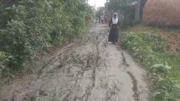 মাধবপুরে পুরাইকলা গ্রামবাসী রাস্তার বেহাল দশায় চিকিৎসাও নিতে পারছেন না