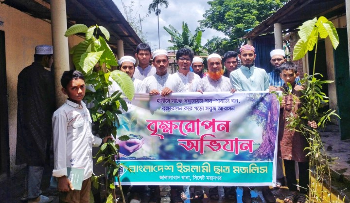 বাংলাদেশ ইসলামী ছাত্র মজলিস জালালাবাদ থানা শাখার বৃক্ষরোপণ কর্মসূচি