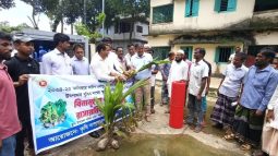 শাল্লায় বীজ সার ও ফলদ গাছের চারা বিতরণ করলো কৃষি সম্প্রসারণ অধিদপ্তর