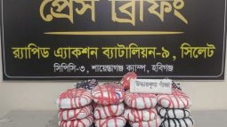 চুনারুঘাটে ৩২.৫ কেজি গাঁজা সহ ২ জনকে গ্রেফতার করেছে র‌্যাব-৯ সিলেট