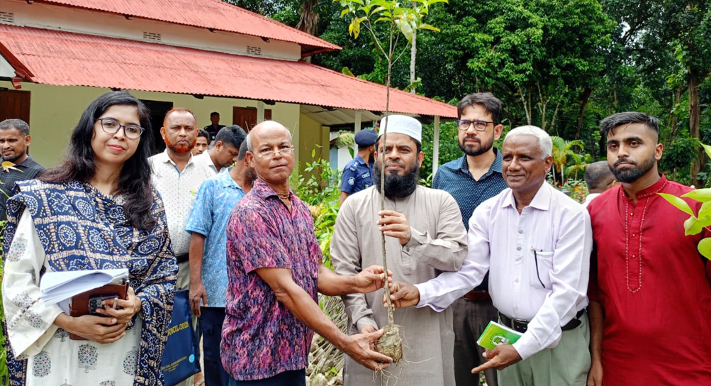 শিক্ষা প্রতিষ্ঠানে মৌলভীবাজার জেলা প্রশাসনের গাছের চারা বিতরণ কর্মসূচি শুরু