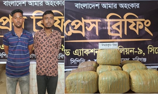 হবিগঞ্জের মাধবপুরে ৩০ কেজি গাঁজা সহ ২ জনকে গ্রেফতার করেছে র‌্যাব-৯