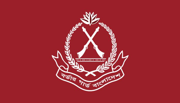 তাহিরপুর ও দোয়ারাবাজারে ভারতীয় ৩২টি গরু আটক বিজিবির