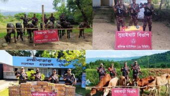 19 BGB seized illegal goods including cattle and buffalo