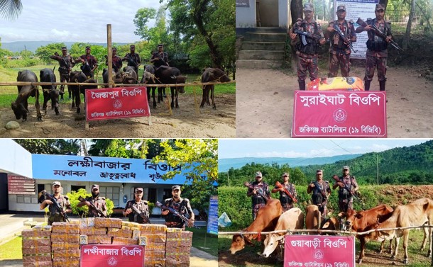 19 BGB seized illegal goods including cattle and buffalo