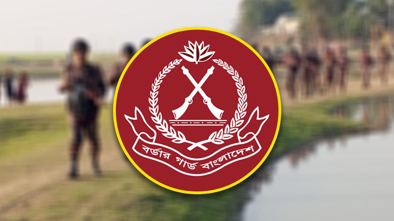 BGB seized Indian goods worth Tk 4.5 crore in Satchari area