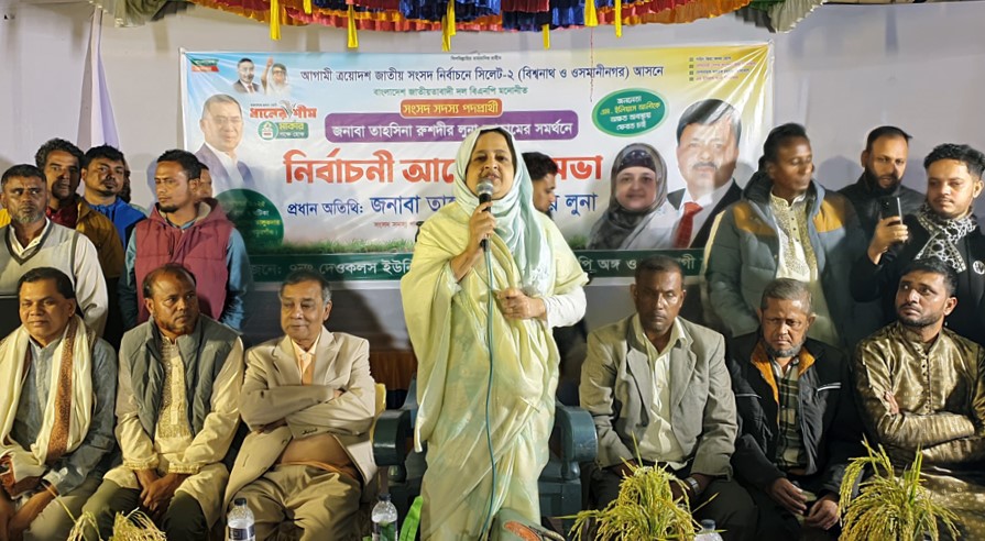 ইলিয়াস আলীর পরিবার মনে করে ‘ধানের শীষ’ চিহ্নে ভোট দিন : লুনা