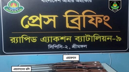 র‌্যাব-৯ কমলগঞ্জ থেকে উদ্ধার করেছে গুলিসহ ৬টি এয়ারগান