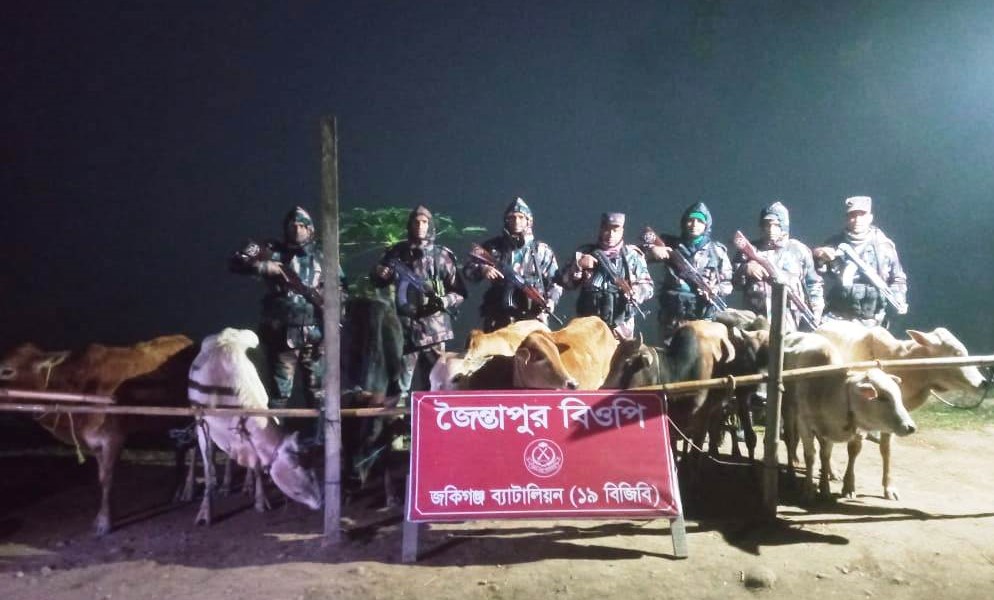 ১৯ বিজিবির অভিযানে ভারতীয় গরুসহ বিভিন্ন অবৈধ মালামাল আটক