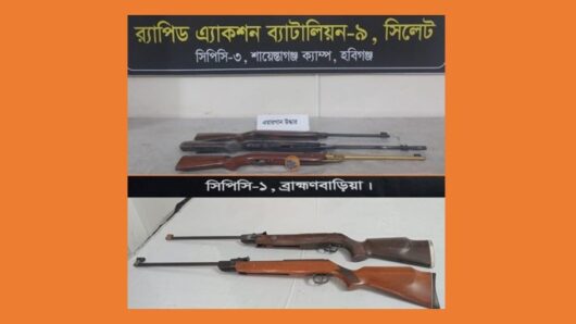 র‌্যাব-৯ হবিগঞ্জ ও ব্রাহ্মণবাড়িয়ায় উদ্ধার করেছে গুলিসহ ৫টি এয়ারগান