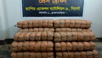 বিজয়নগর থেকে ১৯৬ কেজি গাঁজা উদ্ধার করলো র‌্যাব-৯