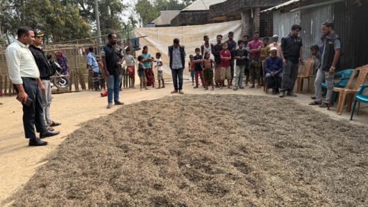 শ্রীমঙ্গলে র‌্যাব ও জেলা প্রশাসনের যৌথ অভিযানে নকল চা পাতা জব্দ
