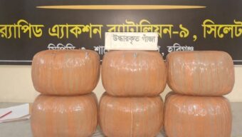 র‌্যাবের অভিযানে চুনারুঘাট থেকে ৩০ কেজি গাঁজা উদ্ধার