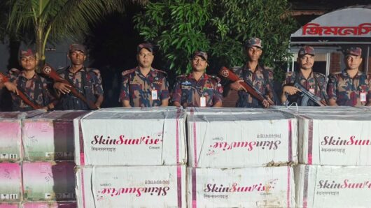 Indian cumin and cosmetics worth nearly Tk 20 million seized in BGB drive