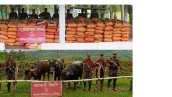 ১৯ বিজিবির অভিযানে প্রায় ৭০ লাখ টাকার ভারতীয় জিরা ও মহিষ জব্দ