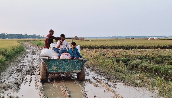 অতিভারী বৃষ্টিপাতের পূর্বাভাস || হাওরের মাঠভরা ধান নিয়ে দুশ্চিন্তায় শাল্লার কৃষক