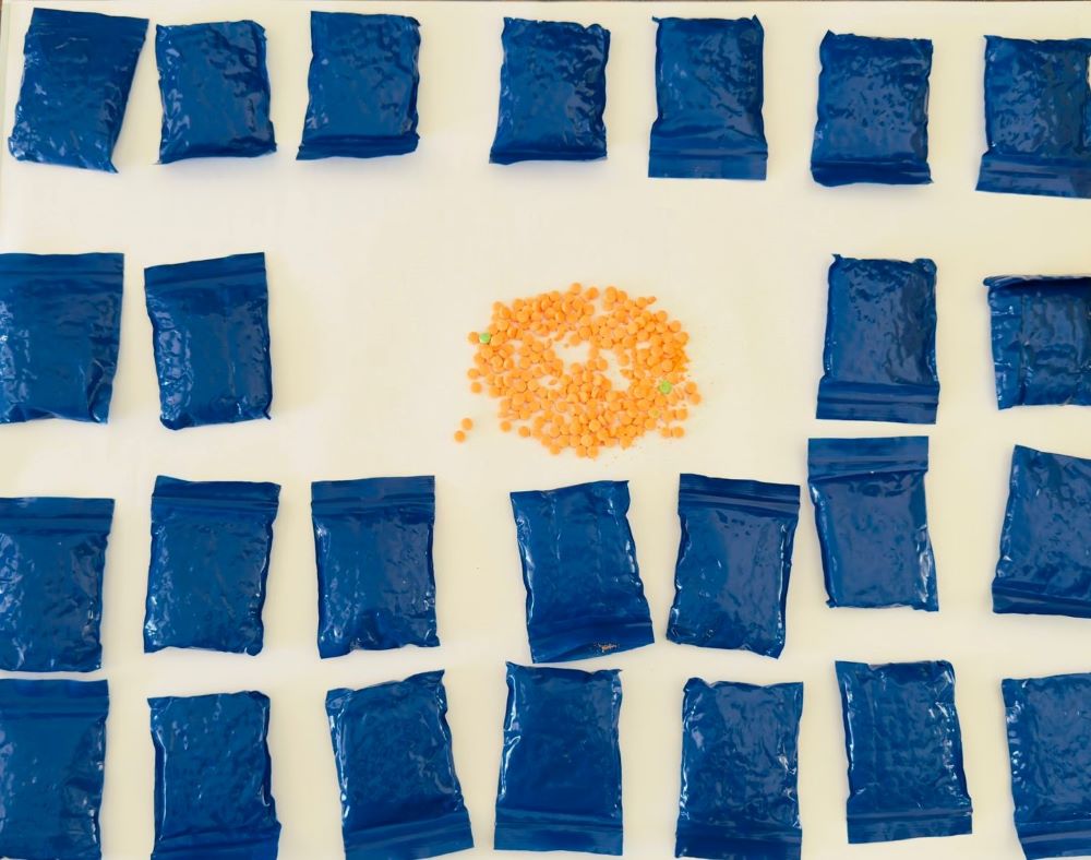 Drug Dealer Arrested with 5,000 Yaba Tablets in Police Operation in Zakiganj