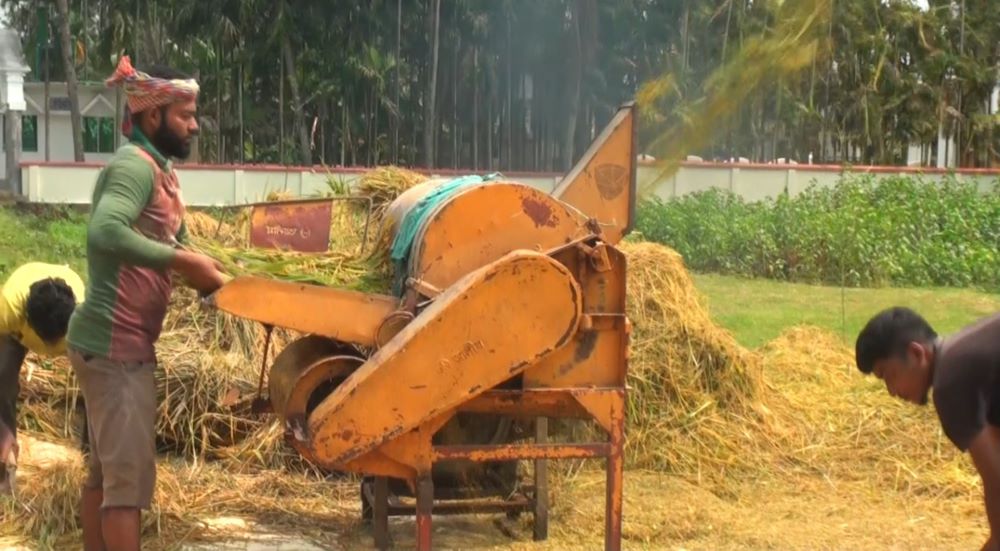 মৌলভীবাজারে ৮২১ জন পাচ্ছেন কৃষক কার্ড || উদ্বোধন করবেন প্রধানমন্ত্রী