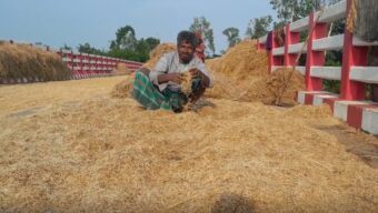 হবিগঞ্জে অকাল বন্যায় ফসলহানি || ক্ষতির অঙ্ক সাড়ে ৩০০ কোটি টাকা