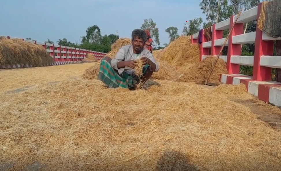 হবিগঞ্জে অকাল বন্যায় ফসলহানি || ক্ষতির অঙ্ক সাড়ে ৩০০ কোটি টাকা
