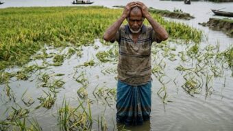 হাওরের দিশেহারা কৃষকদের রক্ষায় প্রয়োজন টেকসই ও জরুরি পদক্ষেপ