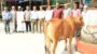 হজরত শাহজালালের ওরসে প্রধানমন্ত্রীর উপহার হস্তান্তর করলেন সিসিক প্রশাসক
