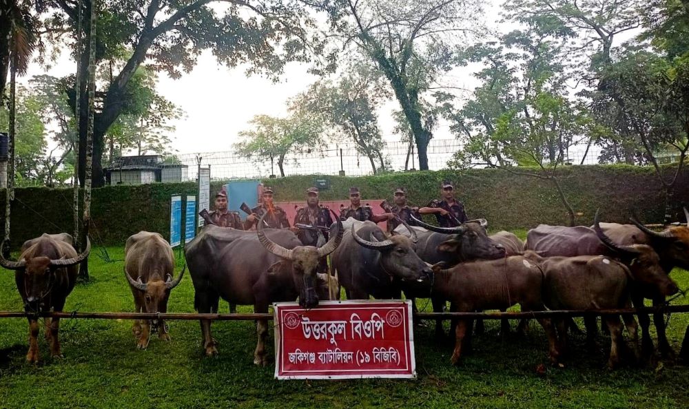 ১৯ বিজিবির অভিযান || ভারতীয় চা পাতাসহ ৩৭ লাখ টাকার মালামাল জব্দ