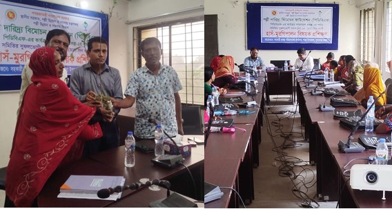 শাল্লায় ৪ দিনব্যাপী হাঁস-মুরগি পালন বিষয়ক প্রশিক্ষণ সম্পন্ন
