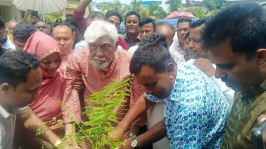 জলবায়ুর ঝুঁকি মোকাবিলায় গাছ লাগানোর আহ্বান নাছির উদ্দিন চৌধুরীর