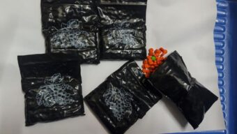 সিলেট জেলা গোয়েন্দা শাখার অভিযানে ১০০০ পিস ইয়াবা উদ্ধার