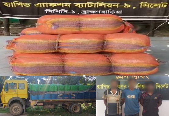 সরাইলে ৮৫ কেজি গাঁজা সহ ৩ মাদক ব্যবসায়ীকে গ্রেফতার করেছে র‌্যাব