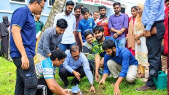 ৫ বছরে ২৫ কোটি বৃক্ষরোপণ কর্মসূচি || হবিগঞ্জ কৃষি বিশ্ববিদ্যালয়ে বৃক্ষরোপণ