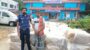 জৈন্তাপুরে পুলিশের অভিযানে ১ কোটি ৩০ লাখ টাকার ভারতীয় শাড়ি সহ গ্রেফতার ১