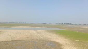 বর্ষা শেষে জেগে উঠলো হাওর || সোনালী পলিতে শাল্লার কৃষকদের চোখে নতুন স্বপ্ন