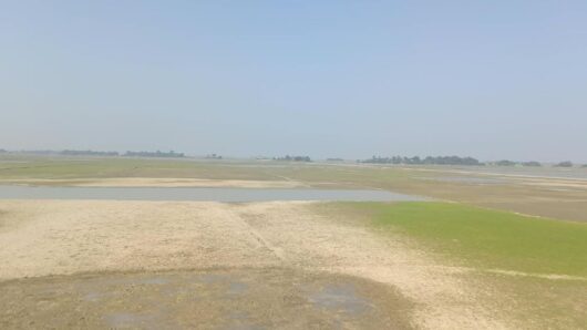 বর্ষা শেষে জেগে উঠলো হাওর || সোনালী পলিতে শাল্লার কৃষকদের চোখে নতুন স্বপ্ন